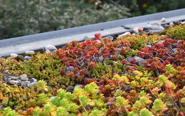 the cost of Brae green roof installation