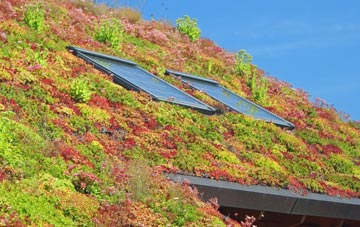 Brae living roof systems